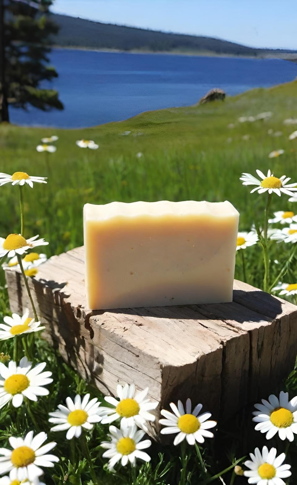 Chamomile Handmade Organic Soap Bar Natural Oil Wonderful Scent Premium Body Spa