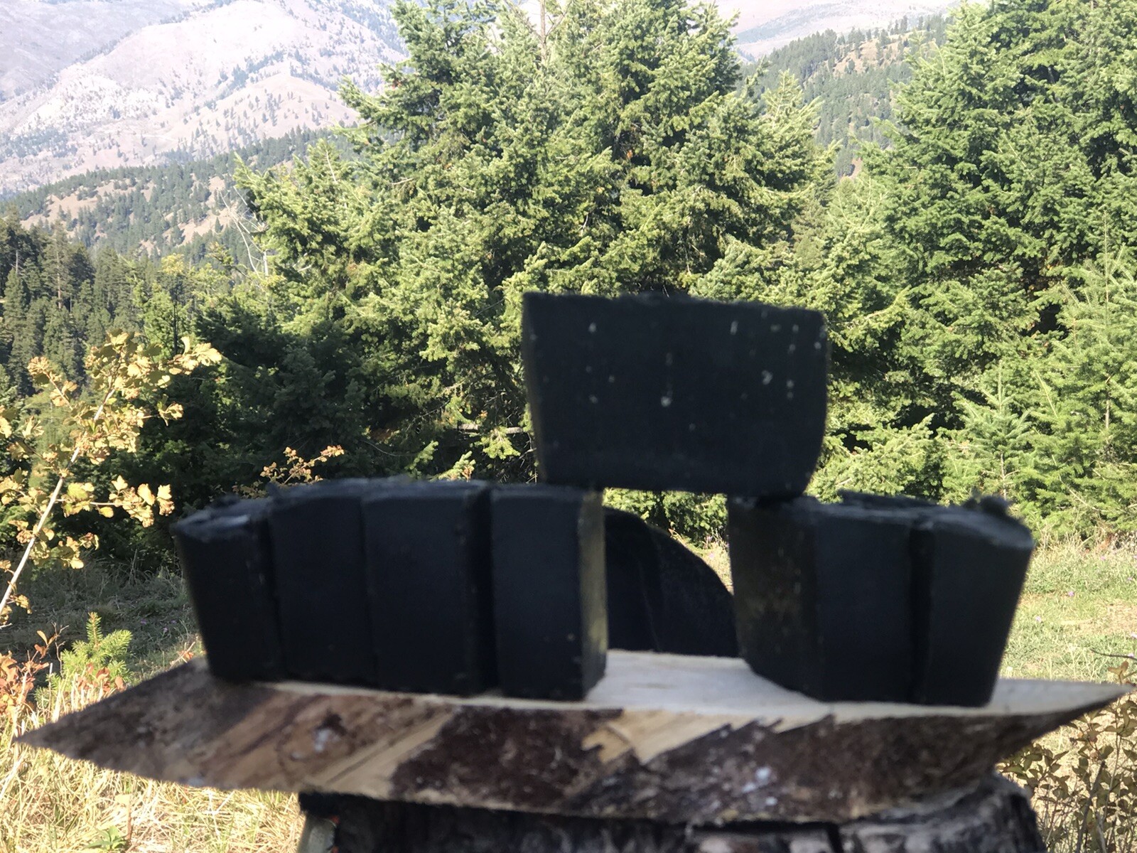 Pine Tar Charcoal Hunting Soap 7 Bars 2 Pounds A Loaf “Has Sand Pine Needles “