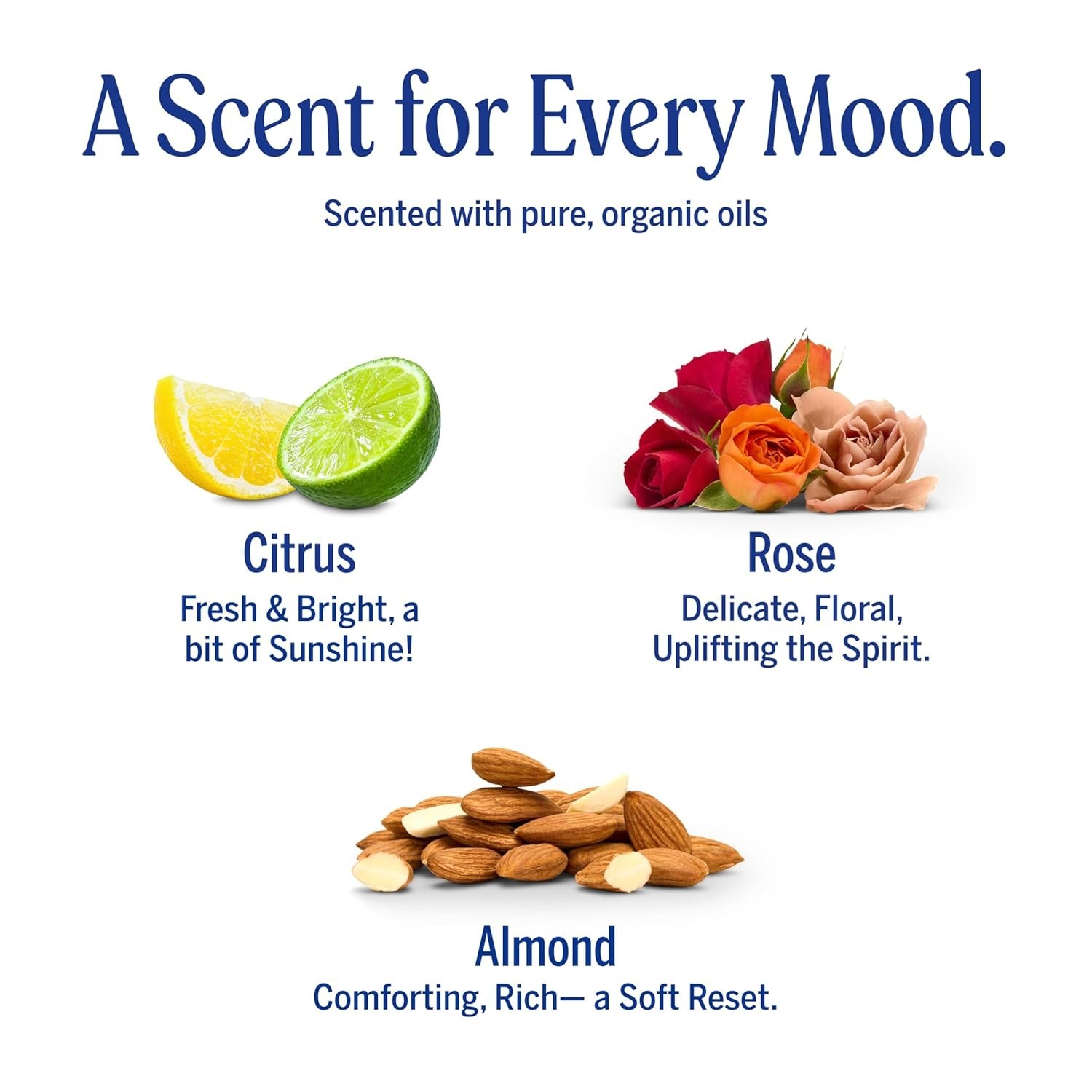 Dr. Bronner’s Pure-Castile Bar Soap Variety Pack