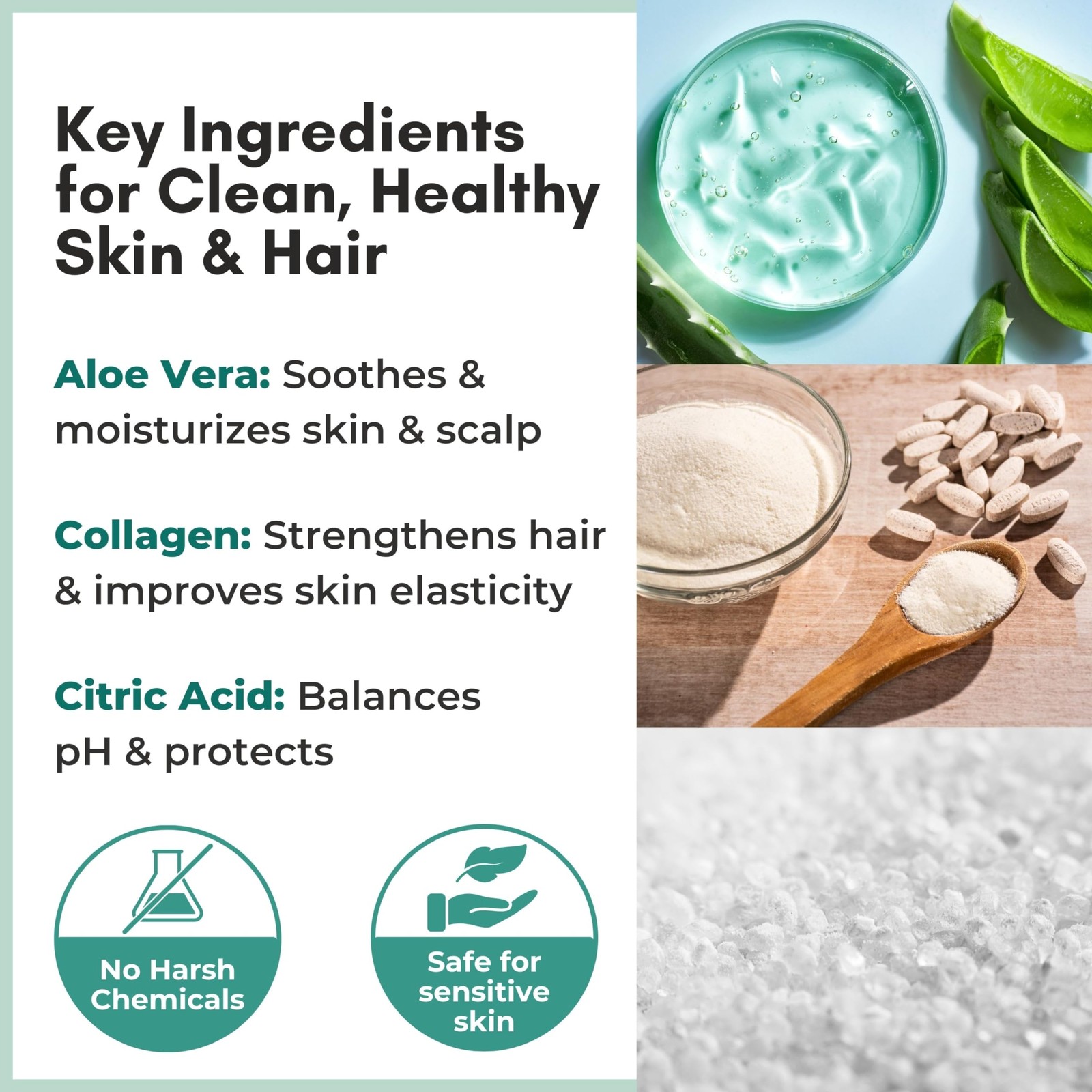 Nurture Rinse Free Body Wash & Shampoo with Aloe | 8.5 Fl Oz (Pack of 3)