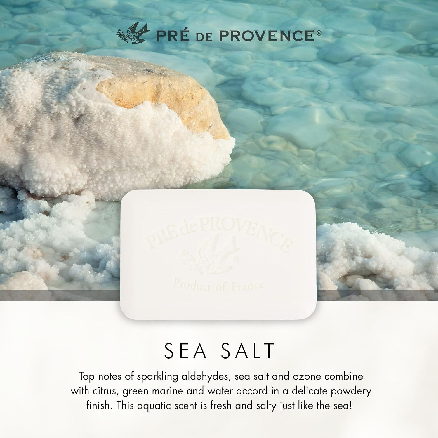 Natural Quad Milled Soap Bar | Rich Lather with Organic Shea Butter – 5.3 Oz
