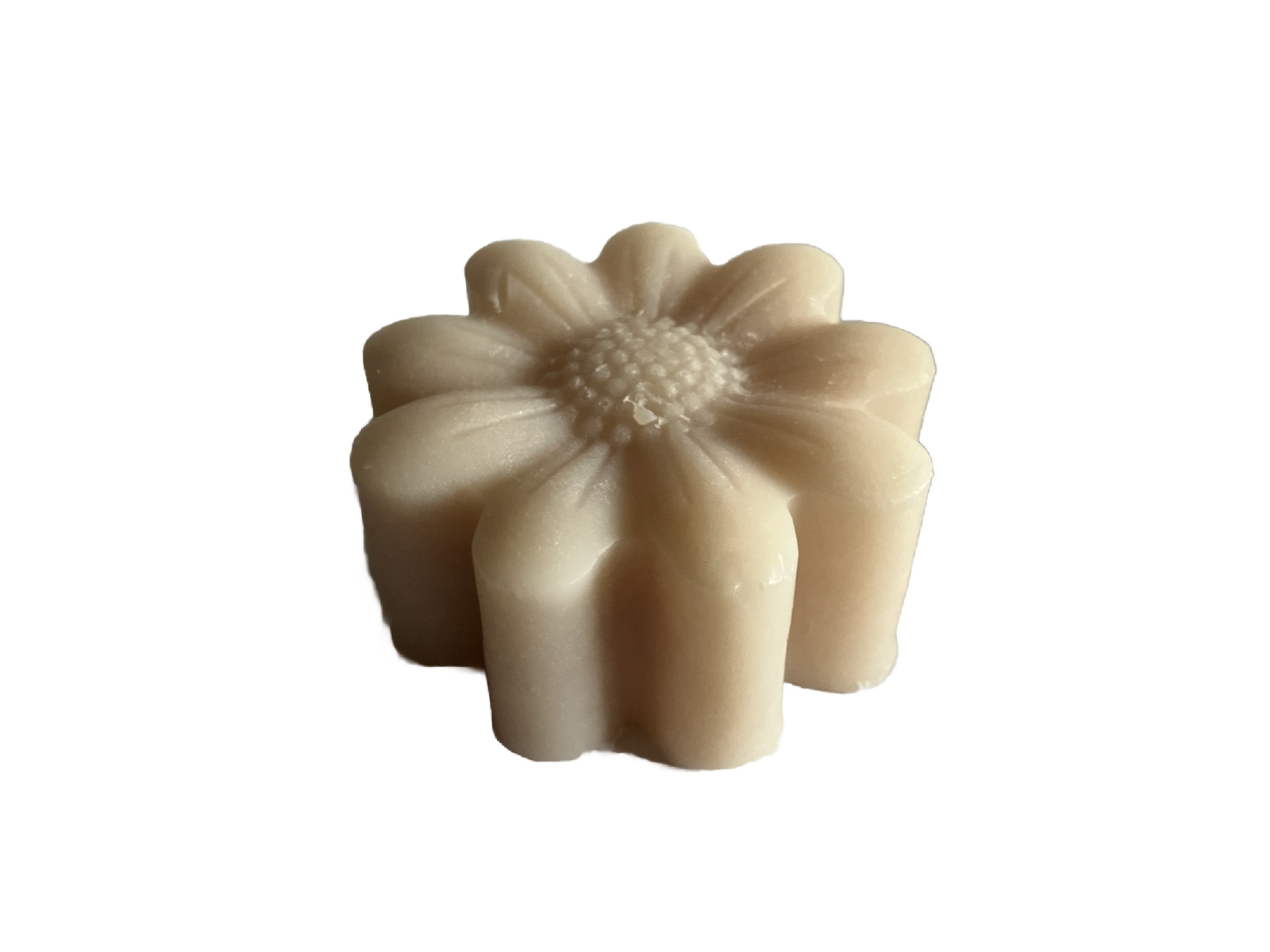 Pure Tallow White Sage Infused Soap Homemade