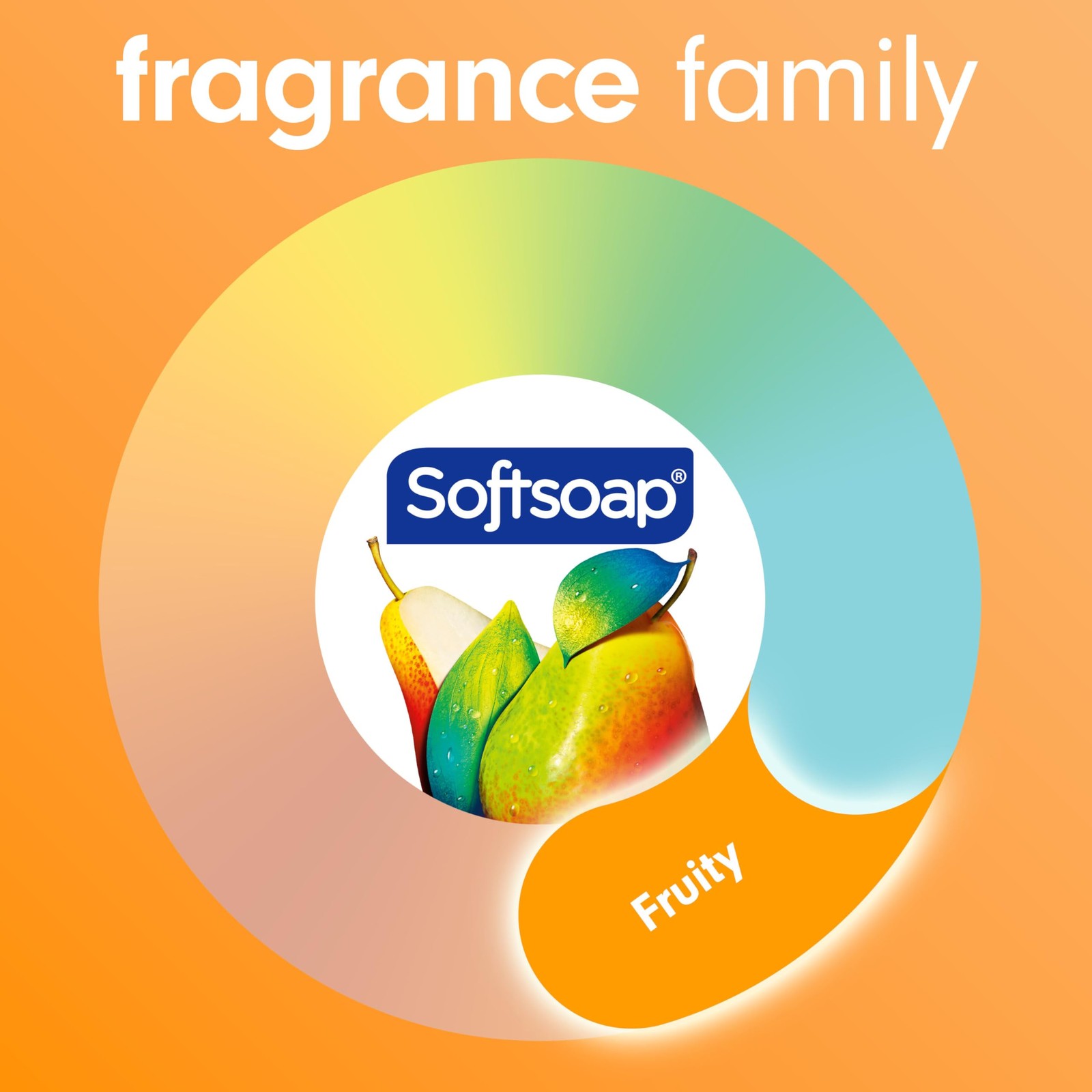 Softsoap Antibacterial Liquid Hand Soap, 11.25 Fl Oz (Pack of 6), Green