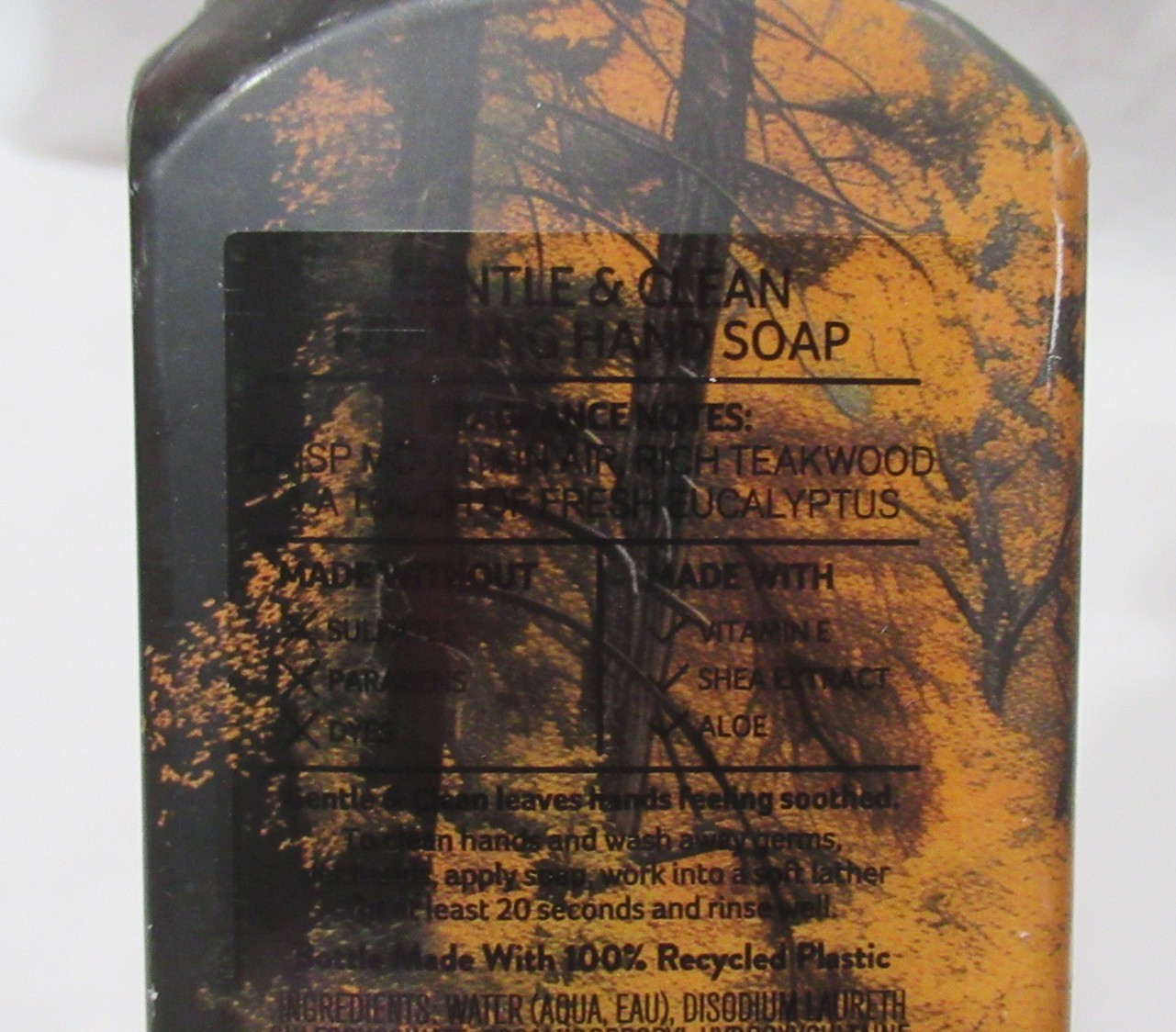 Bath & Body Works Gentle & Clean Foaming Hand Soap Lot Set 2 MOUNTAIN TEAKWOOD