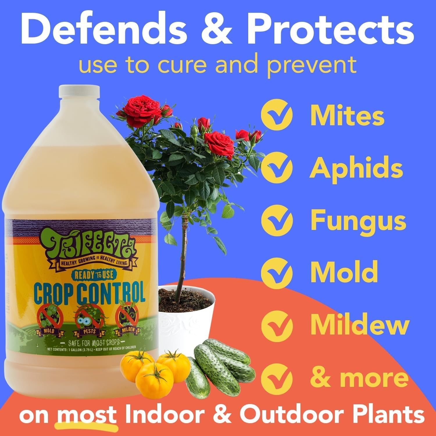 Eco-Friendly 128 Oz Insecticidal Soap – Safe, Food-Grade Fungicide for Pests