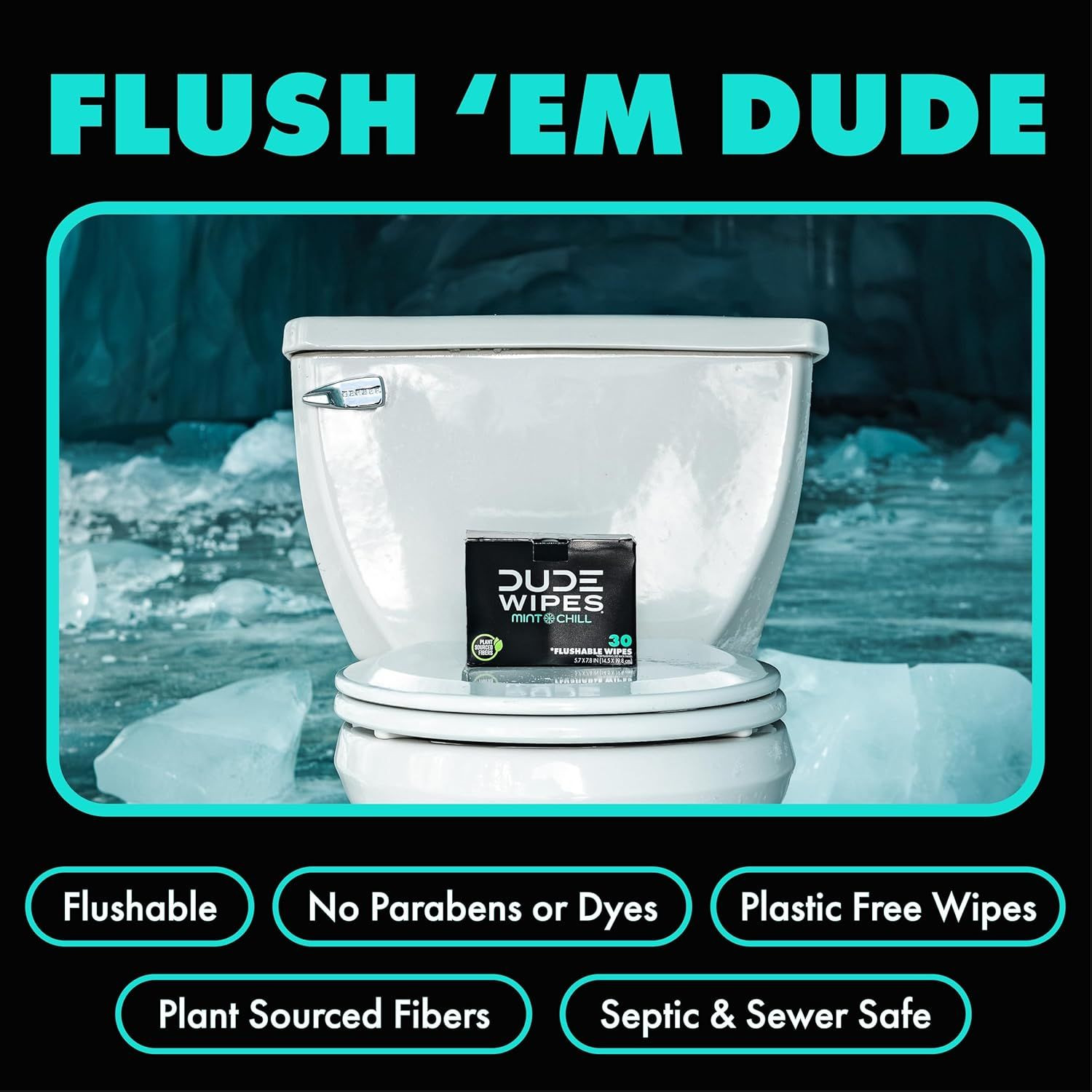 DUDE Wipes On-The-Go Flushable – 1 Pack, 30 Count 30 (Pack of 1)