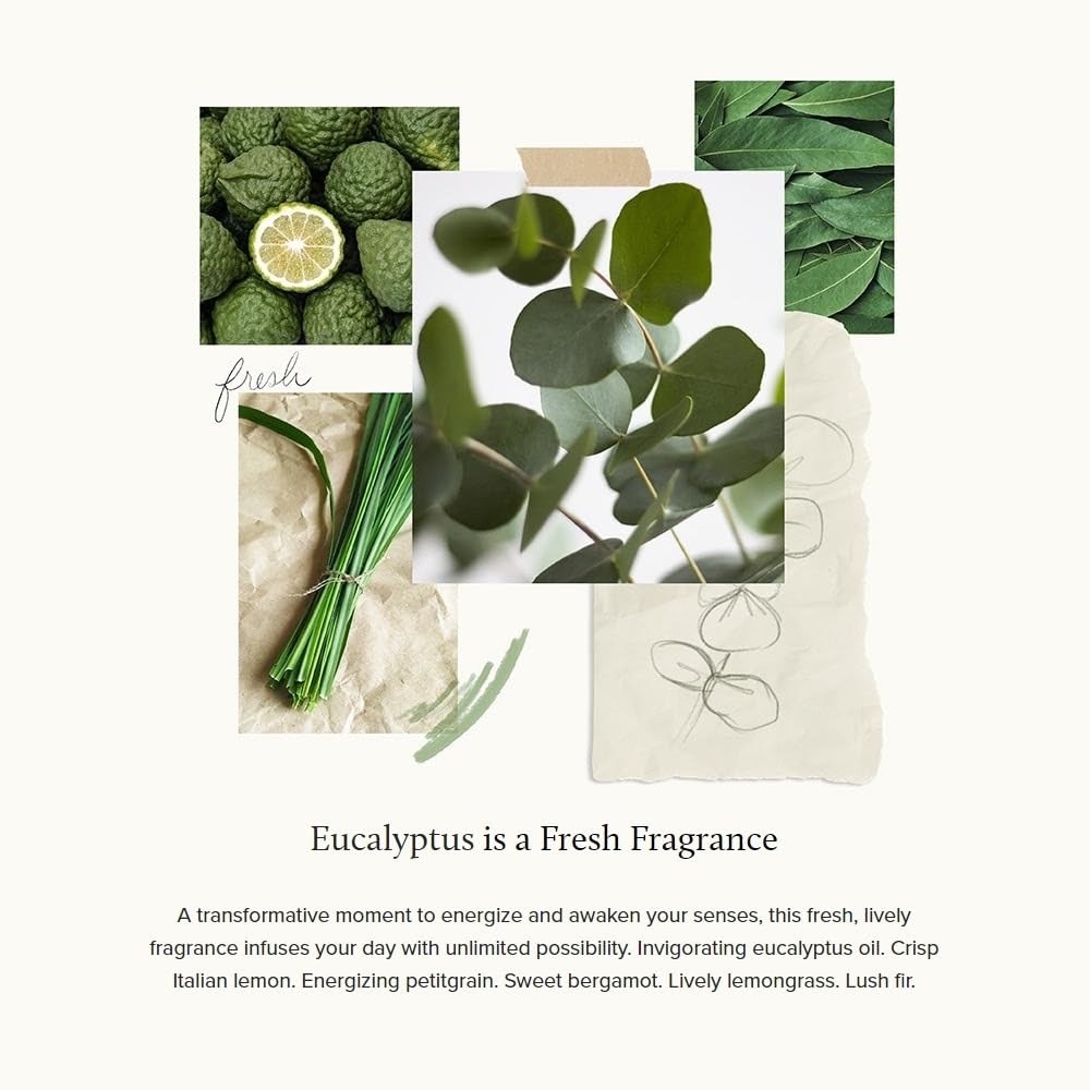 Thymes Eucalyptus Bar Soap – 6 Oz (Pack of 2) 6 Ounce