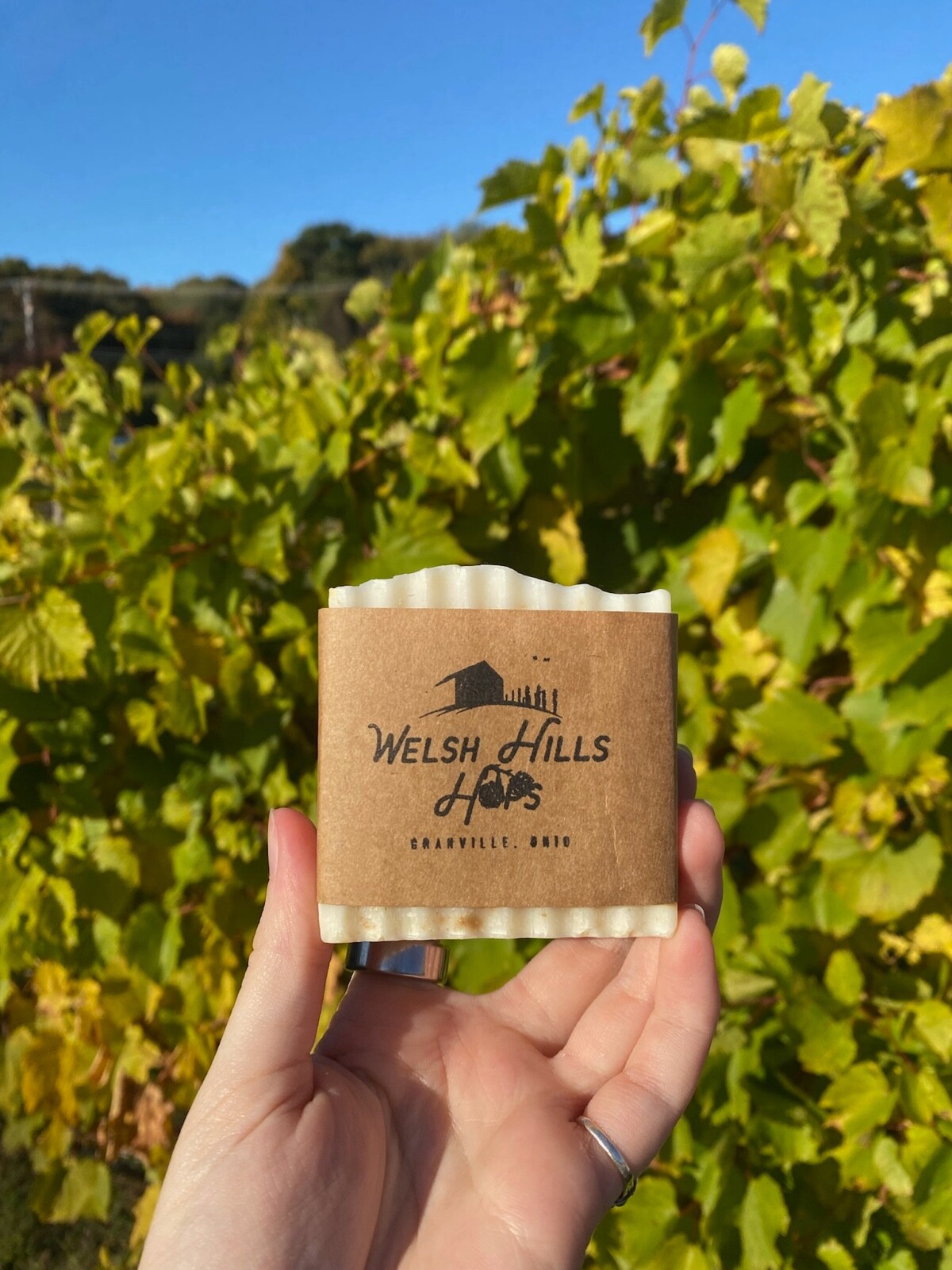 Hops Soap- Welsh Hills Hops Soap, Beer Soap, Sensitive Skin, Homemade Artisan