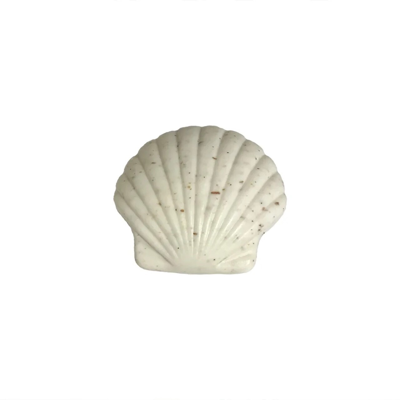 Greenwich Bay 4.3oz Sculpted Seashell Soap, Island Blossom (R5T003)
