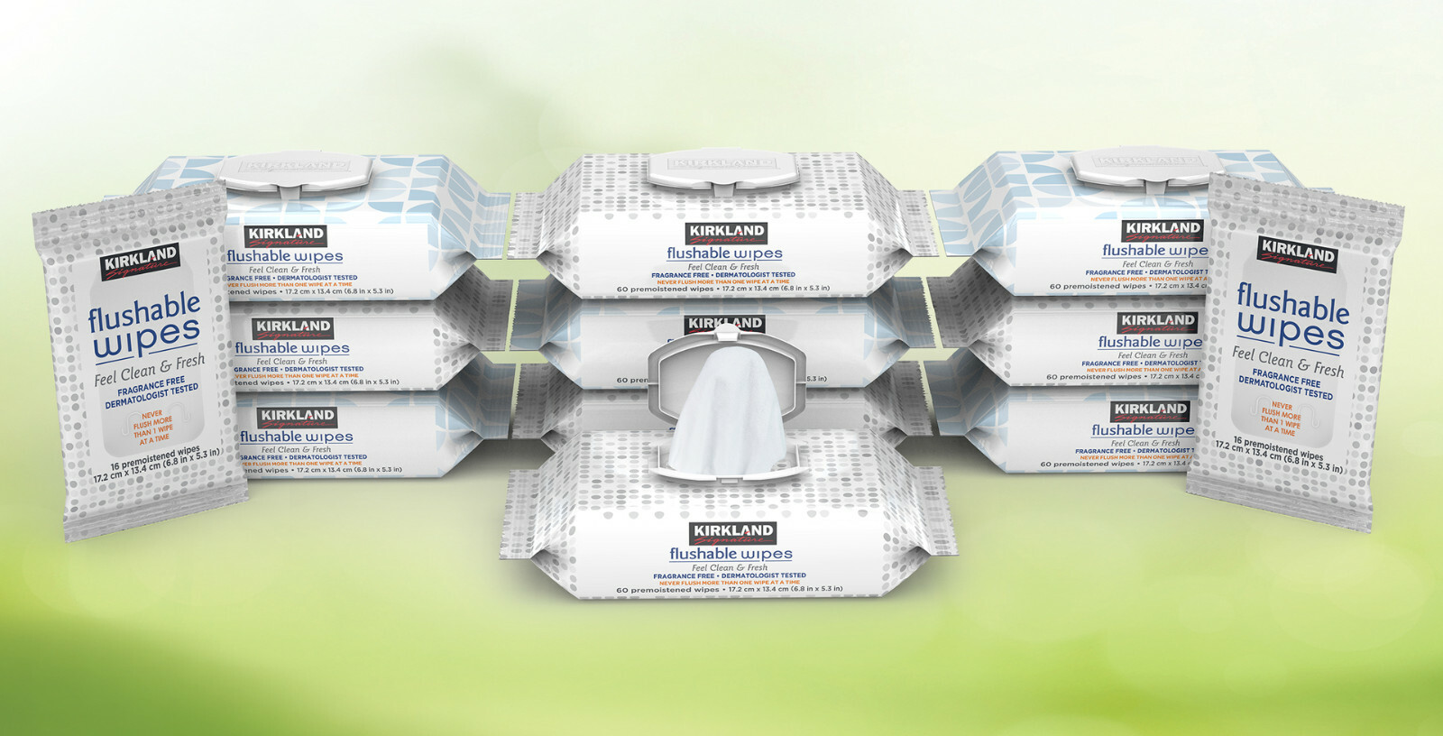 Kirkland Signature Moist Flushable Wipes 632 Wipes