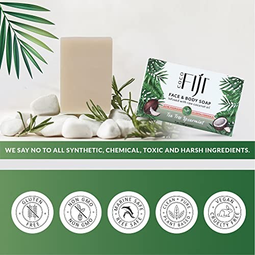 Coco Fiji Soap Bar for Face and Body 7 Ounce (Pack of 2) Tea Tree Spearmint