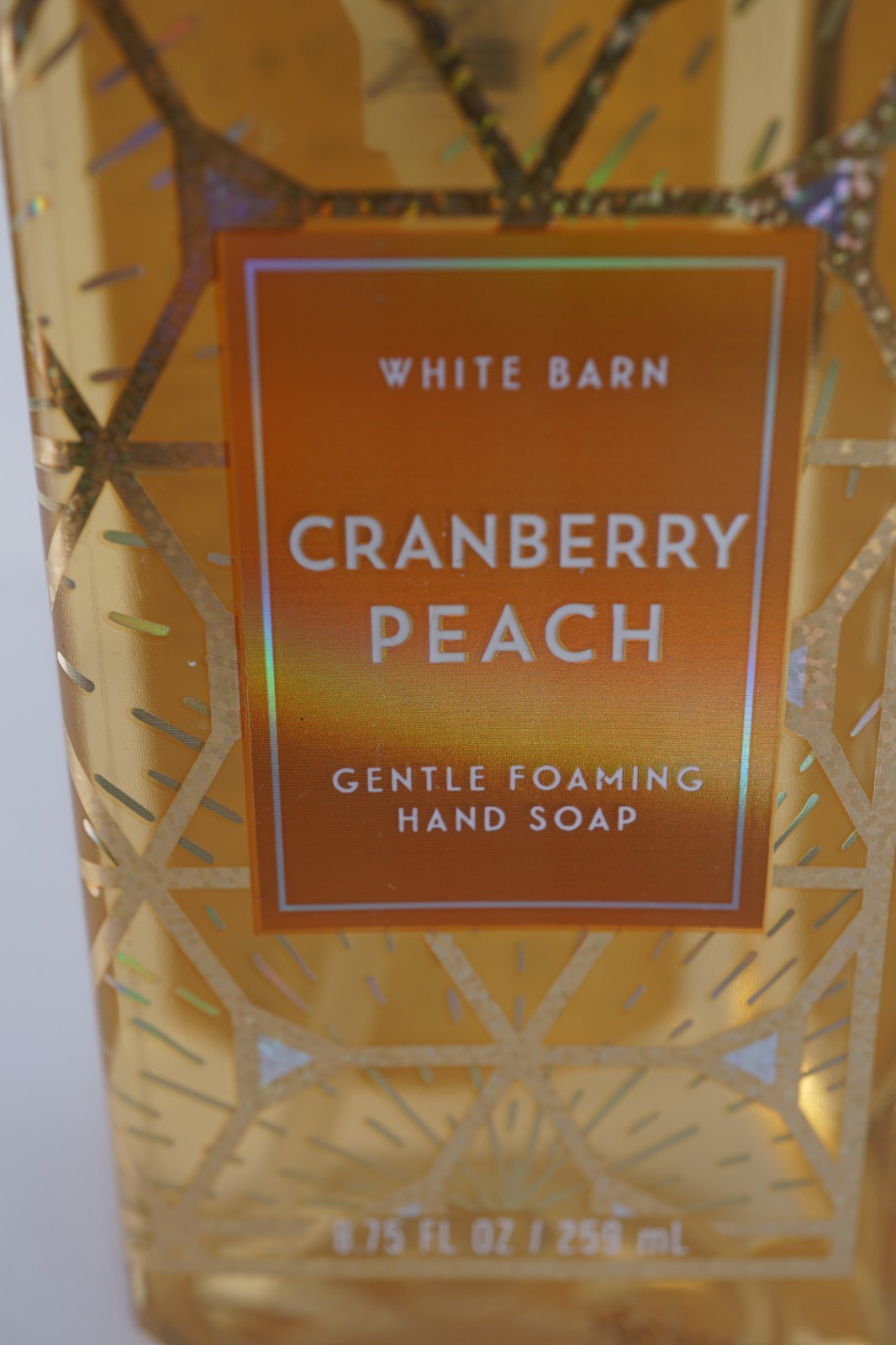 X5 BATH & BODY WORKS FOAMIONG HAND SOAP WITH ESSENTIAL OILS