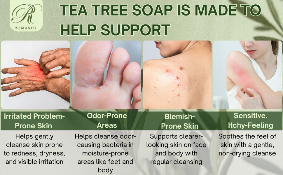 Tea Tree Soap for Body Odor Antibacterial Bar 2 Pack Acne & Sweat Cleanser