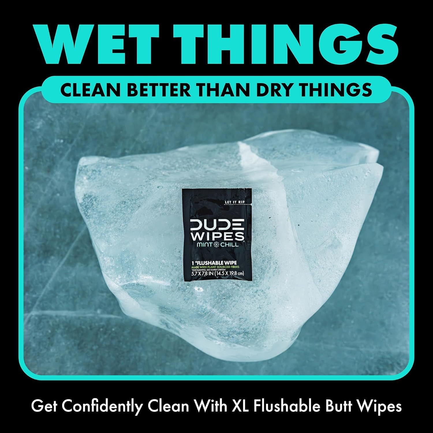 DUDE Wipes On-The-Go Flushable – 1 Pack, 30 Count 30 (Pack of 1)