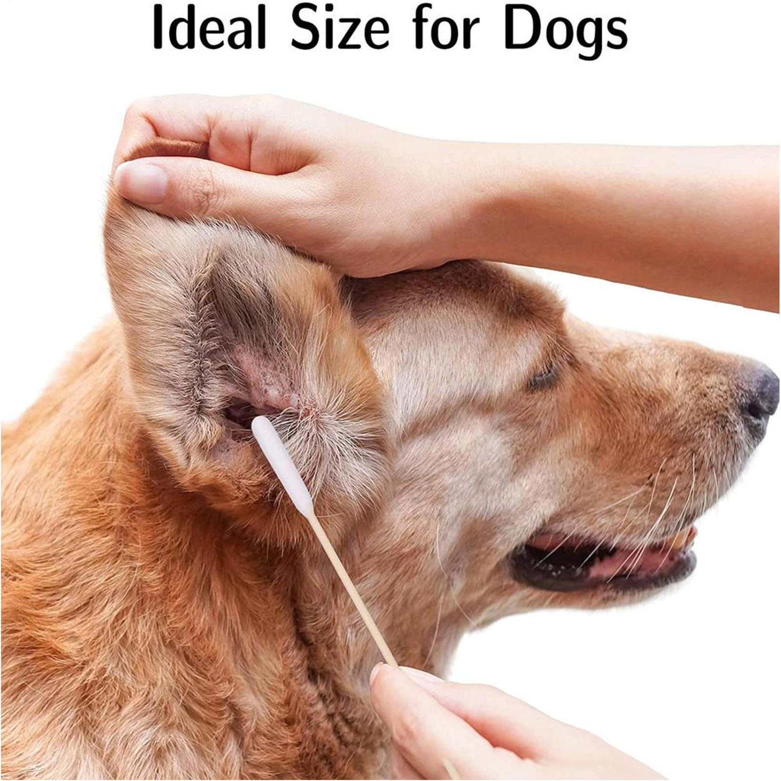 Cotton Swabs of Medium and Large Pets Ears Cleaning or Makeup 100pcs
