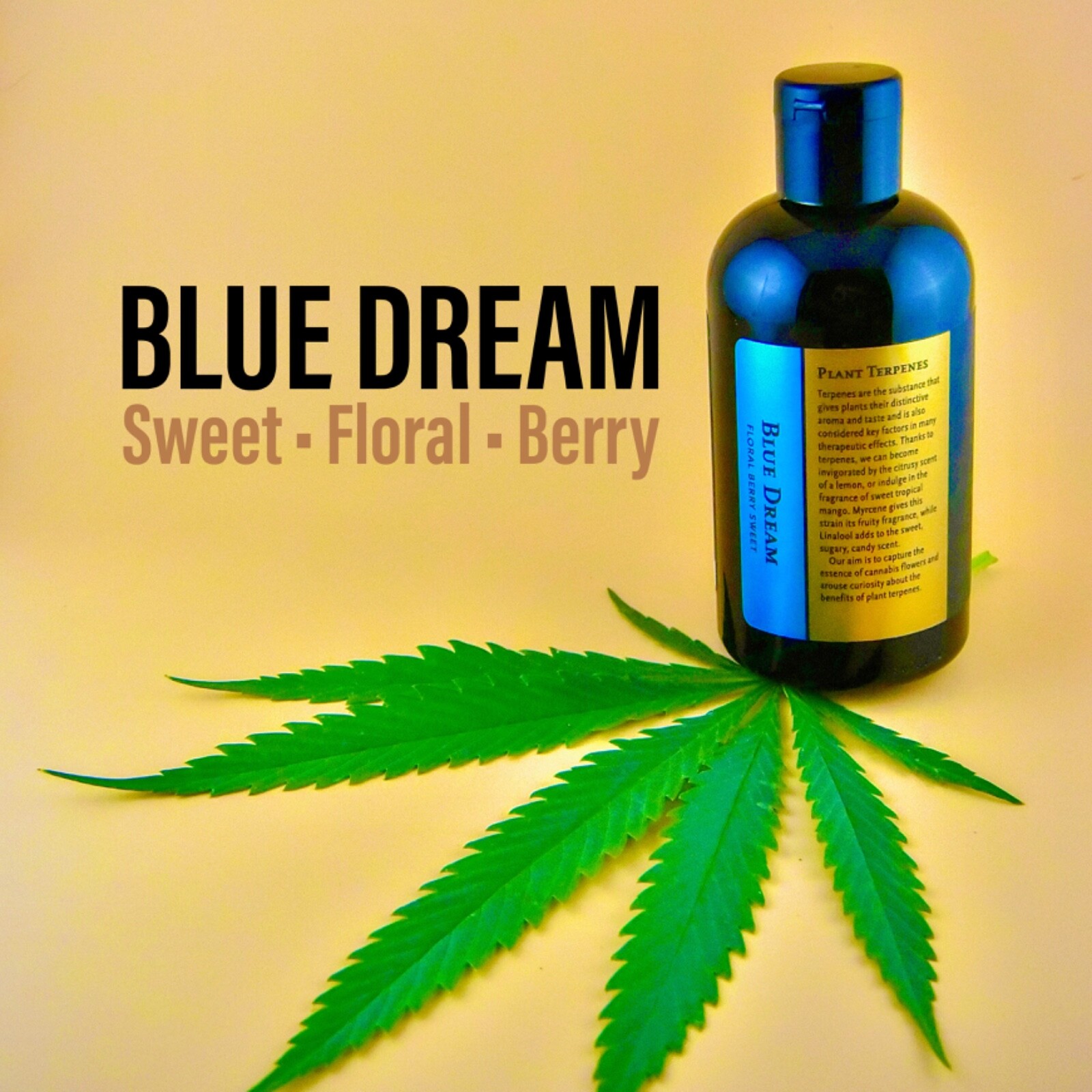 Herbanology 1 Gallon Blue Dream Organic Liquid Castile All Purpose Soap