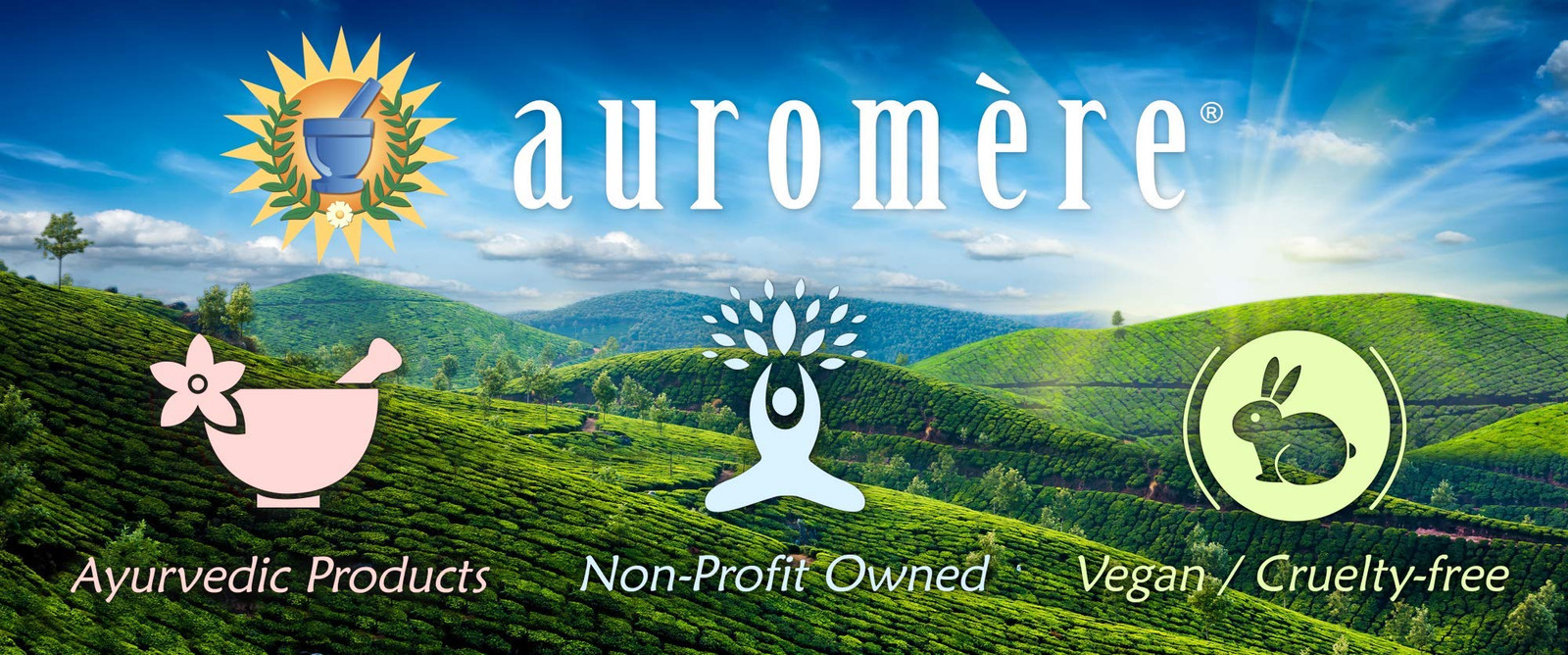 Auromere Ayurvedic Soap with Sandalwood Neem Turmeric Eco Friendly Vegan Clea…