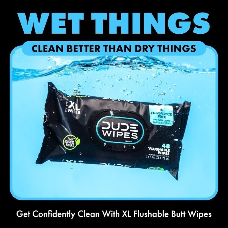Extra Large Flushable Wipes Biodegradable Plant Based Aloe Vera 288 Count New