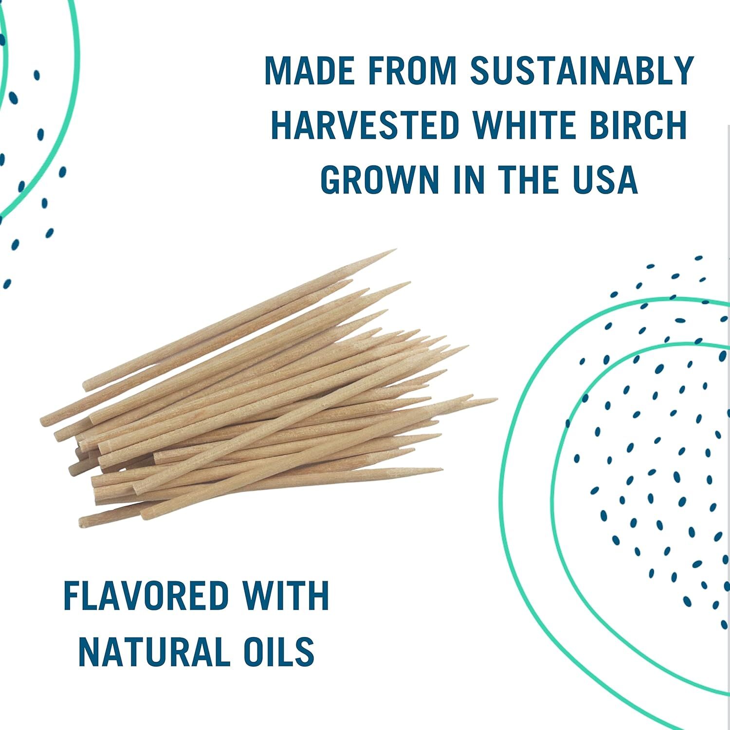 Preserve Flavored Toothpicks, Cinnamint, 35 Toothpicks, 1 Count