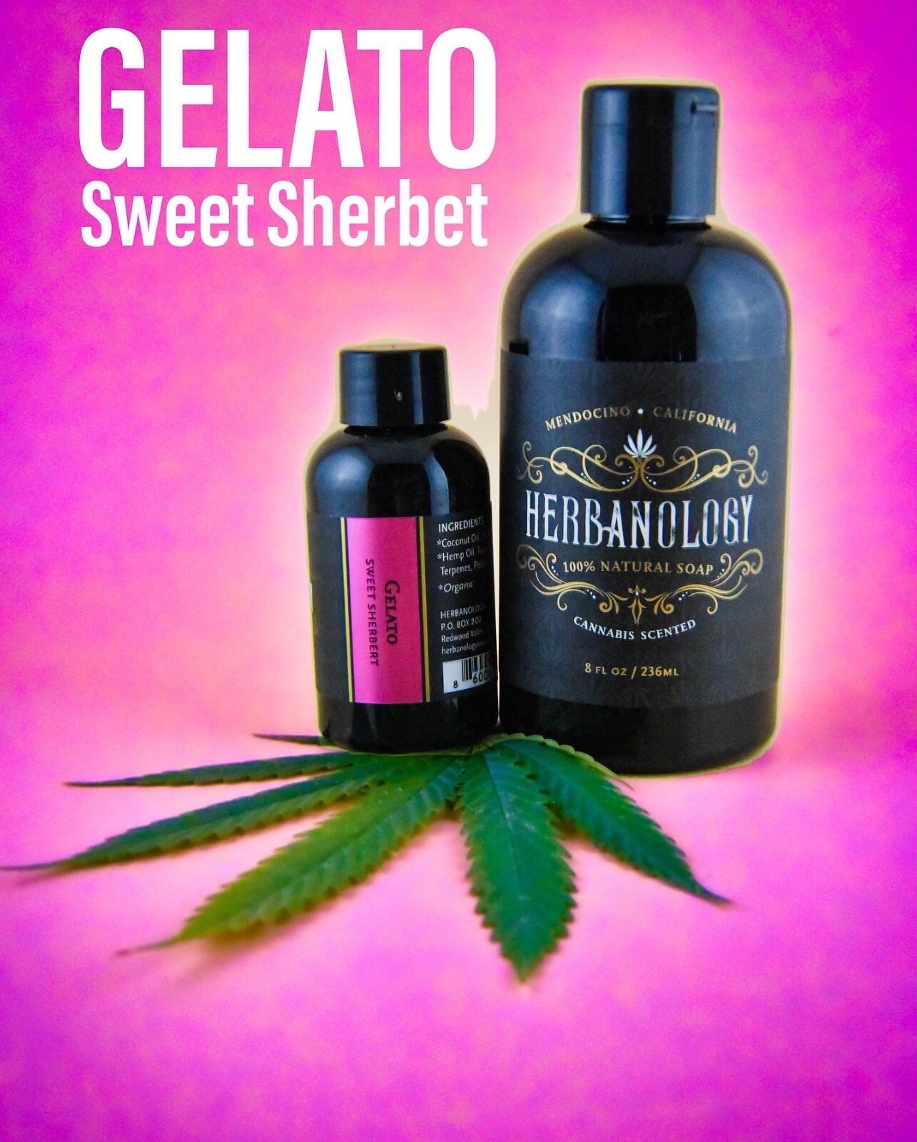 Herbanology 8oz Gelato Organic Liquid Castile All Purpose Soap