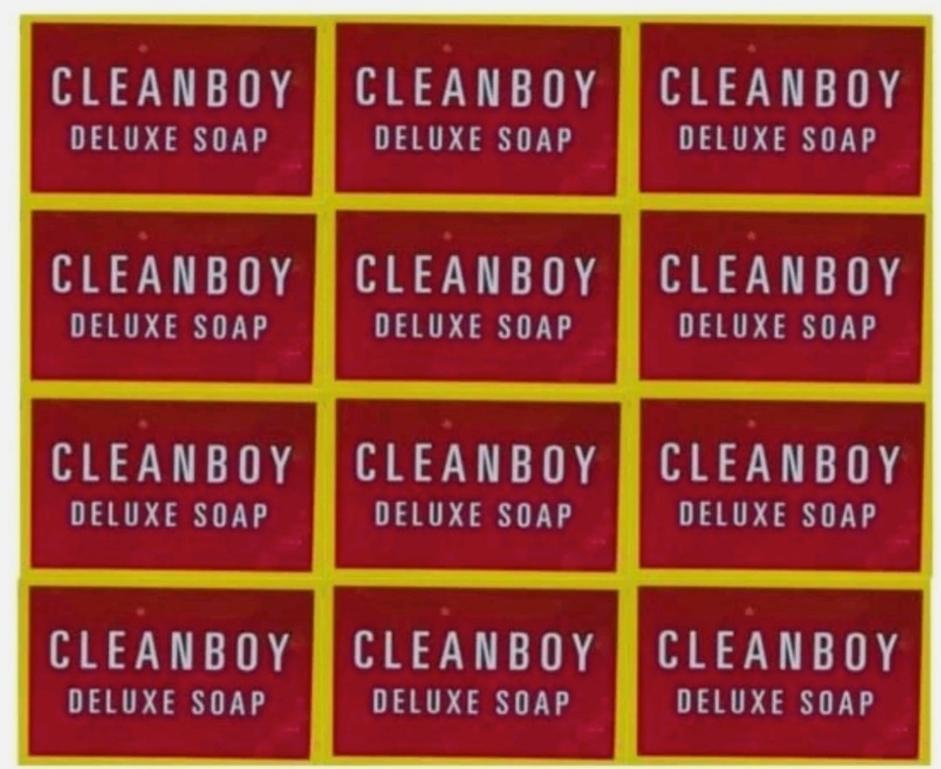 CLEANBOY Deluxe Deodorant Soap 12 Bars