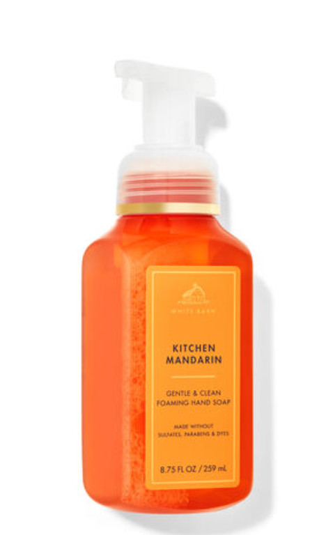 Bath and body works Gentle & Clean Foaming Hand Soap