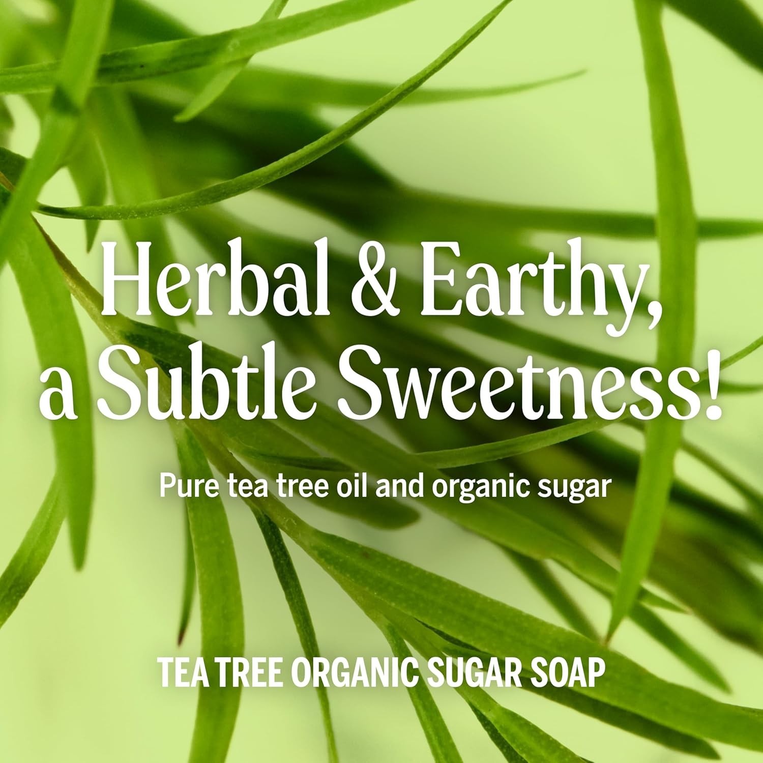 Sugar Soap Tea Tree, 64oz – Organic Ingredients