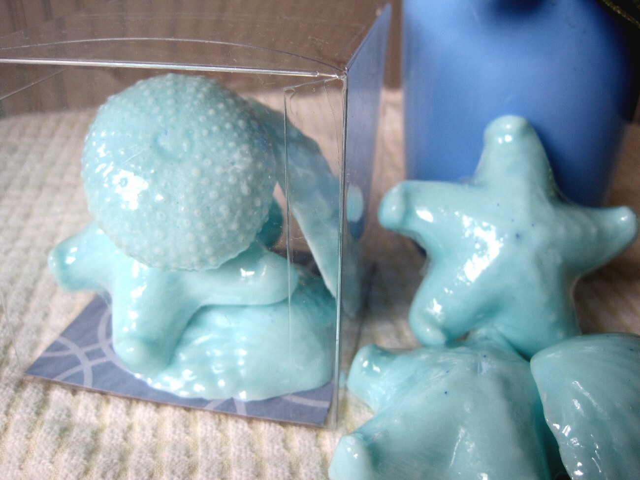 6 Marine Life Guest Soaps- 2 Starfish, 2 Clamshells, 2 Sea Urchins. In Gift box.