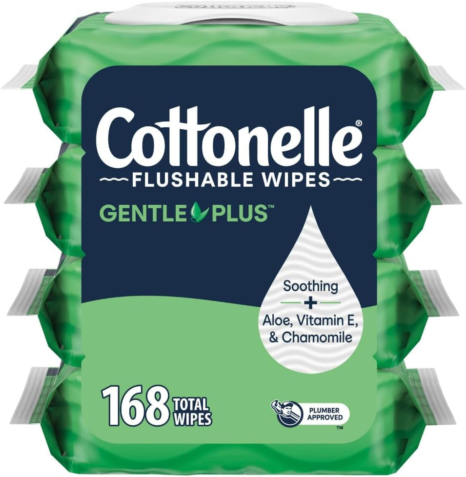 Gentleplus Flushable Wet Wipes with Aloe & Vitamin E, 4 Flip-Top Packs, 42 Wipes