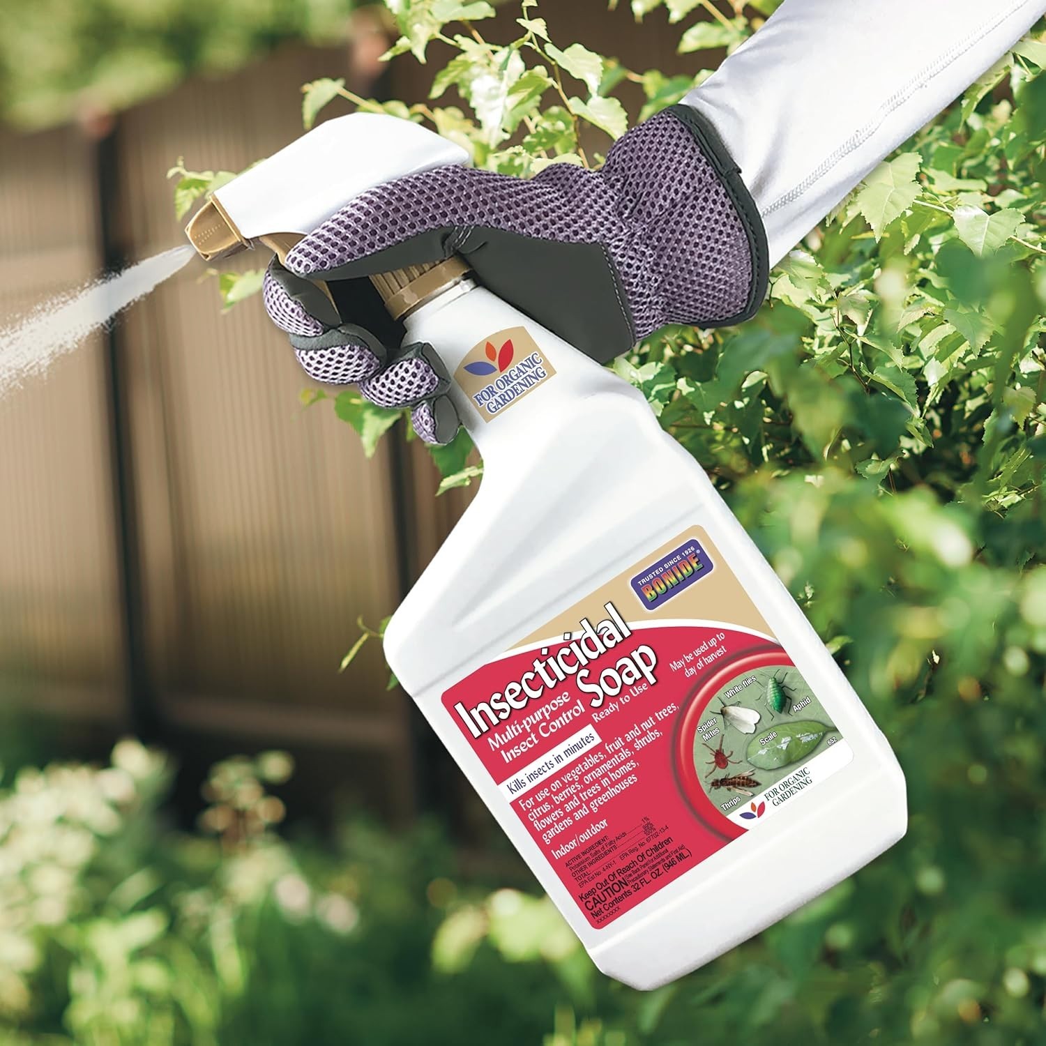 Bonide Captain Jack’s Insecticidal Super Soap 32 oz