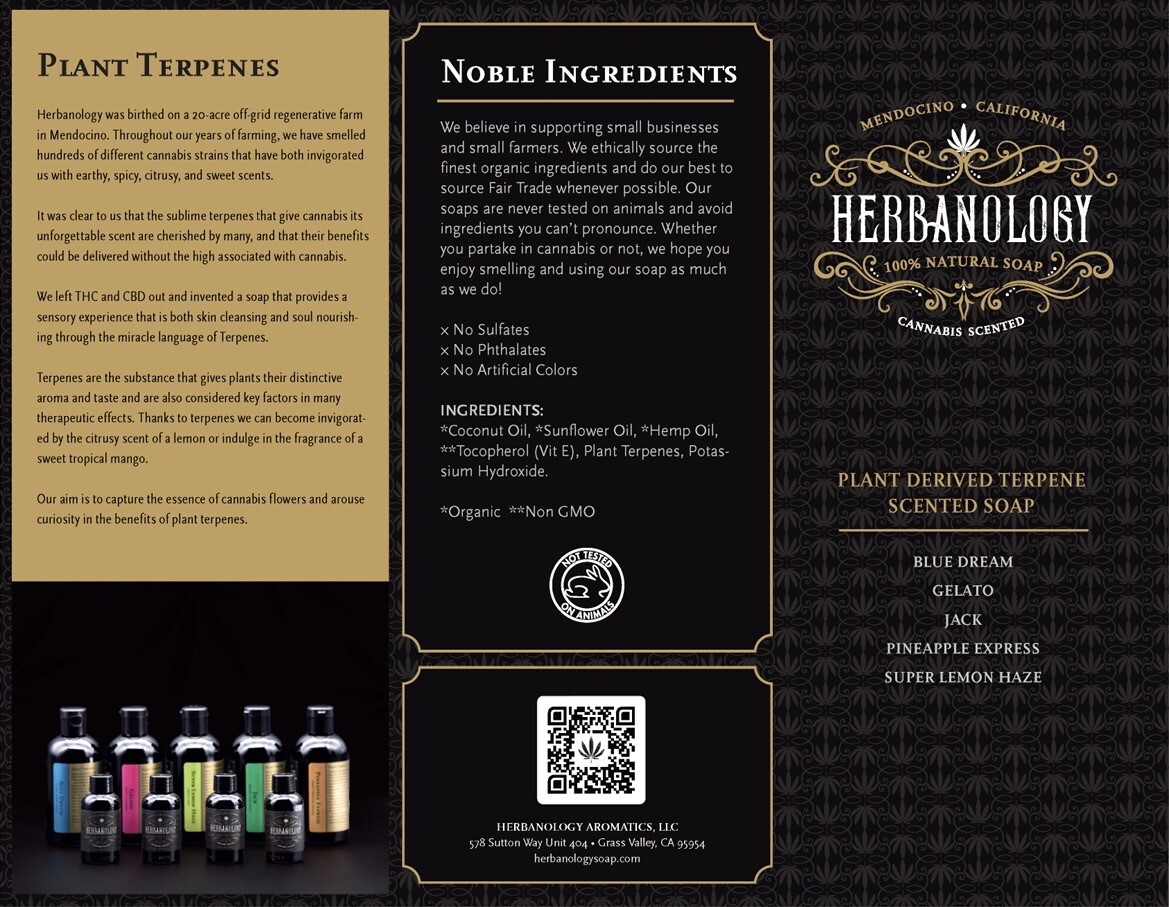 Herbanology 2oz Pineapple Express Organic Liquid Castile All Purpose Soap