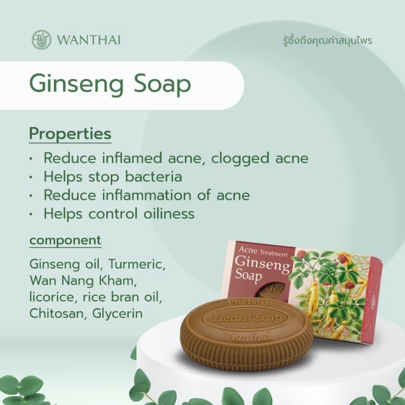4x Ginseng Herbal Soap Wanthai for Normal & Oily Skin anti-acne brightening skin