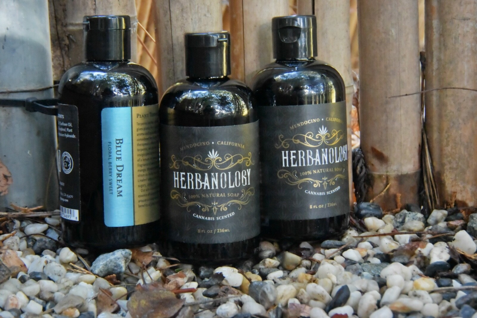 Herbanology 1 Gallon Blue Dream Organic Liquid Castile All Purpose Soap