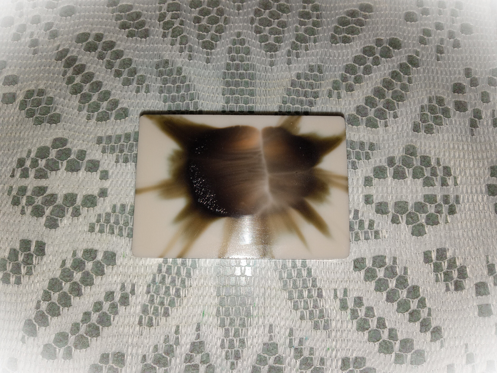 Gravity Type scented bar soap, choice of soap type, FREE shipping, goats milk