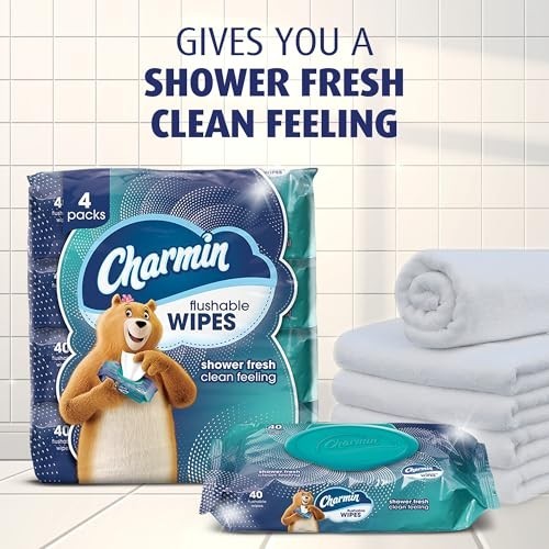 Charmin Flushable Wipes, 480 Total Wipes (12 Packs of 40) 40 Count (Pack of 12)
