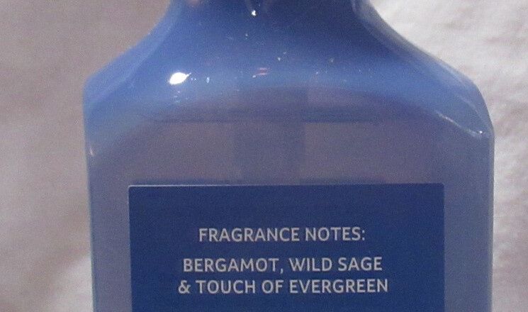 Bath & Body Works Cleansing Gel Hand Soap essential Lot Set of 2 LAKESIDE LIFE