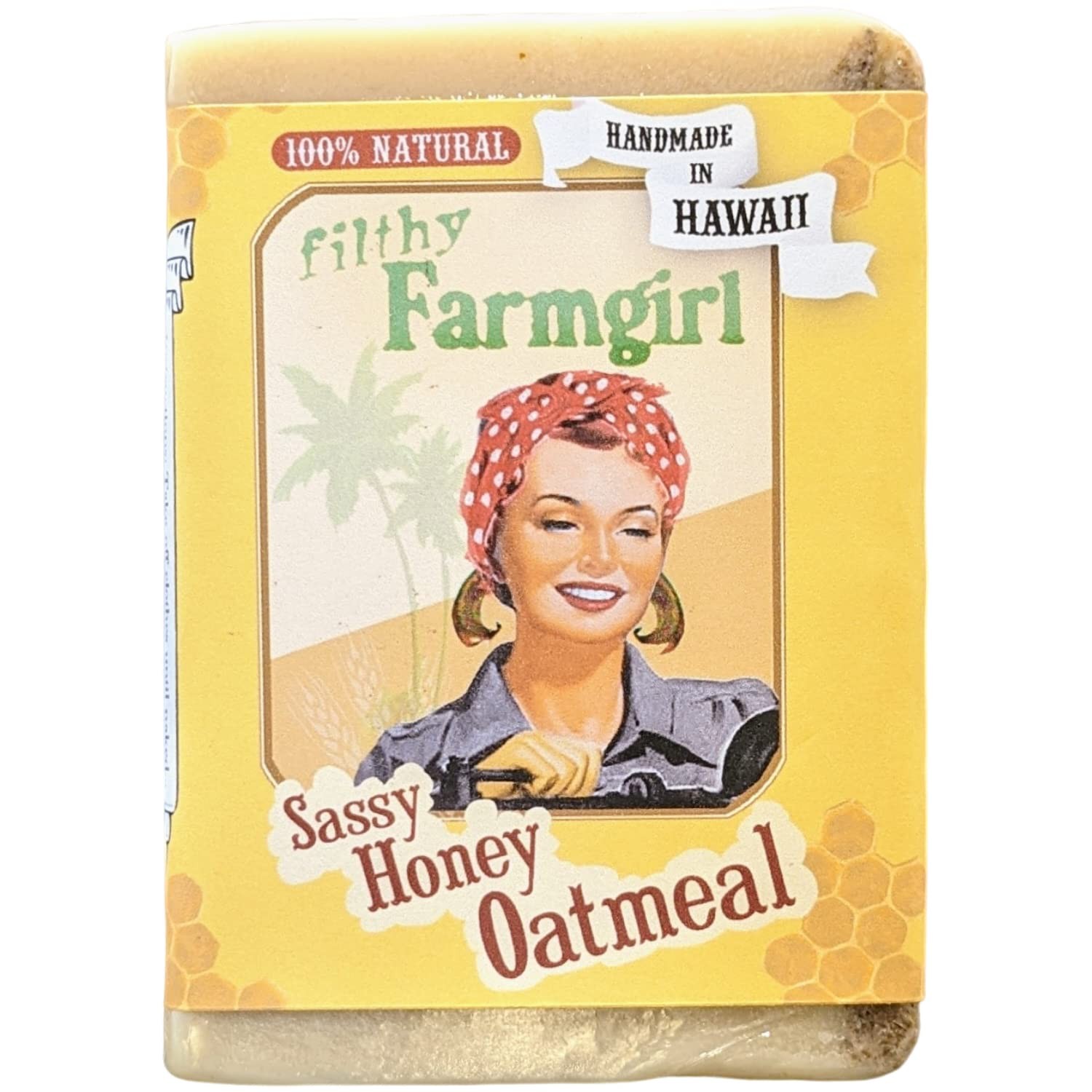 Sassy Honey Oatmeal all natural glycerin BAR SOAP Cinnamon Oats Vanilla