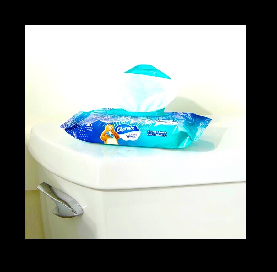 Charmin Flushable Wipes with flip top lids 80 count (2 x 40 Wipes) printed packs