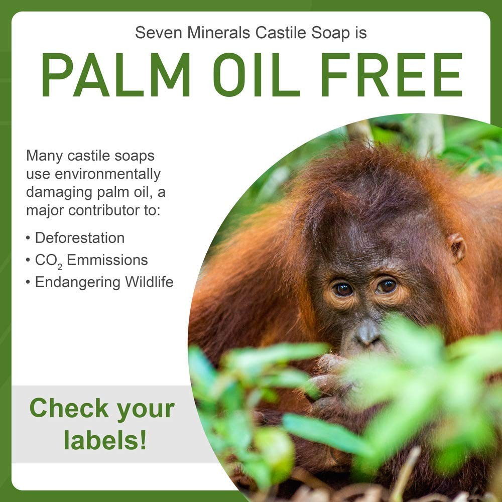 Seven Minerals Castile Soap 33.8 fl oz – Unscented Palm Oil-Free Vegan