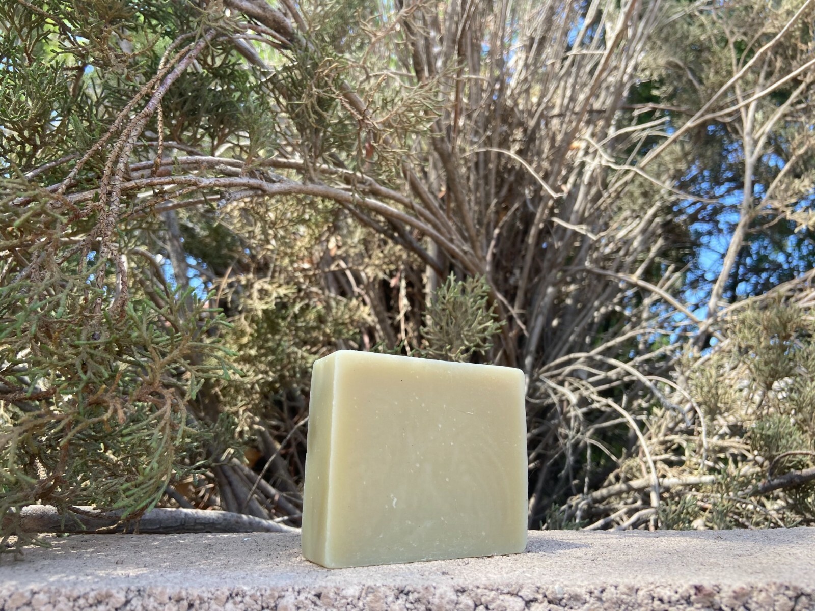 handmade eco friendly non toxic moisturizing hand, face, and body soap
