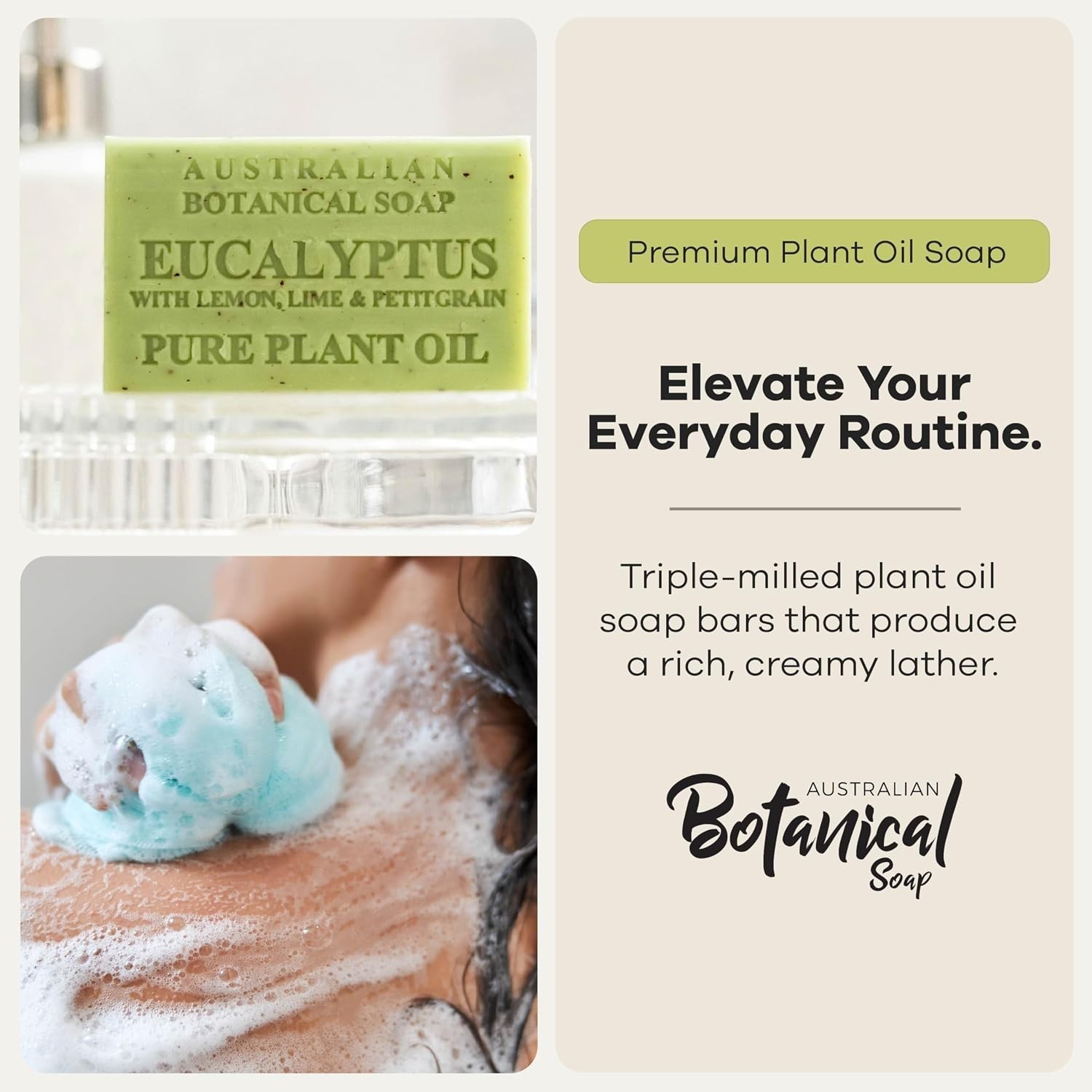 Organic Shea Butter Soap Bars – Eucalyptus Scent, 8 Pack