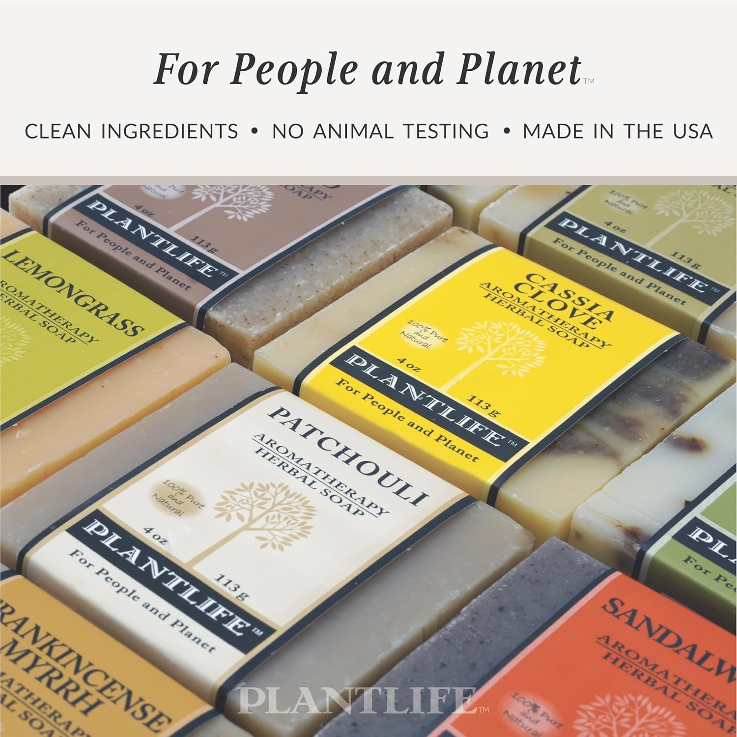 Moisturizing Cassia Clove Bar Soap – Essential Oils & Natural Ingredients