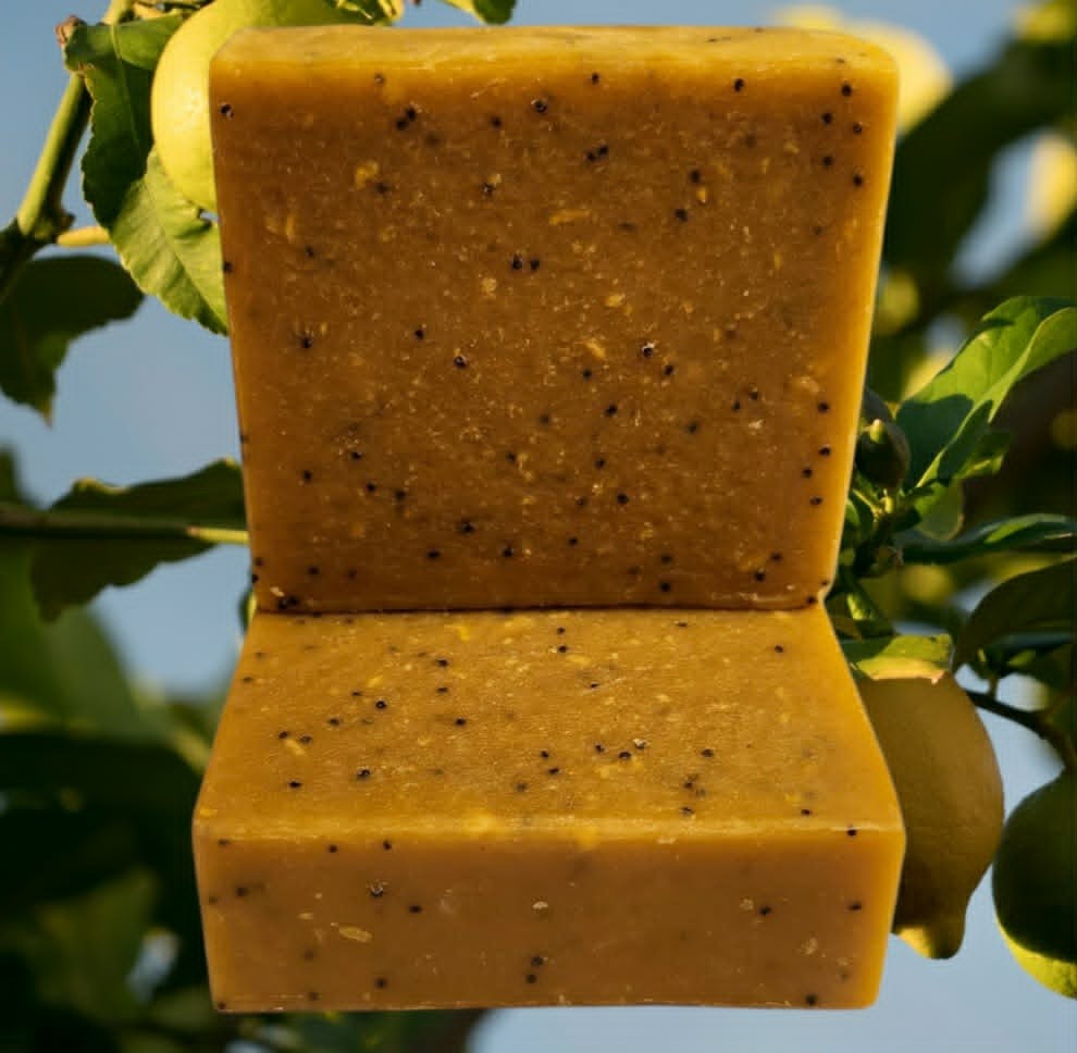 Lemon Zest w/ Poppy Seeds w/ Kojic Acid & Niacinamide B3 Scented Beauty Bar Soap