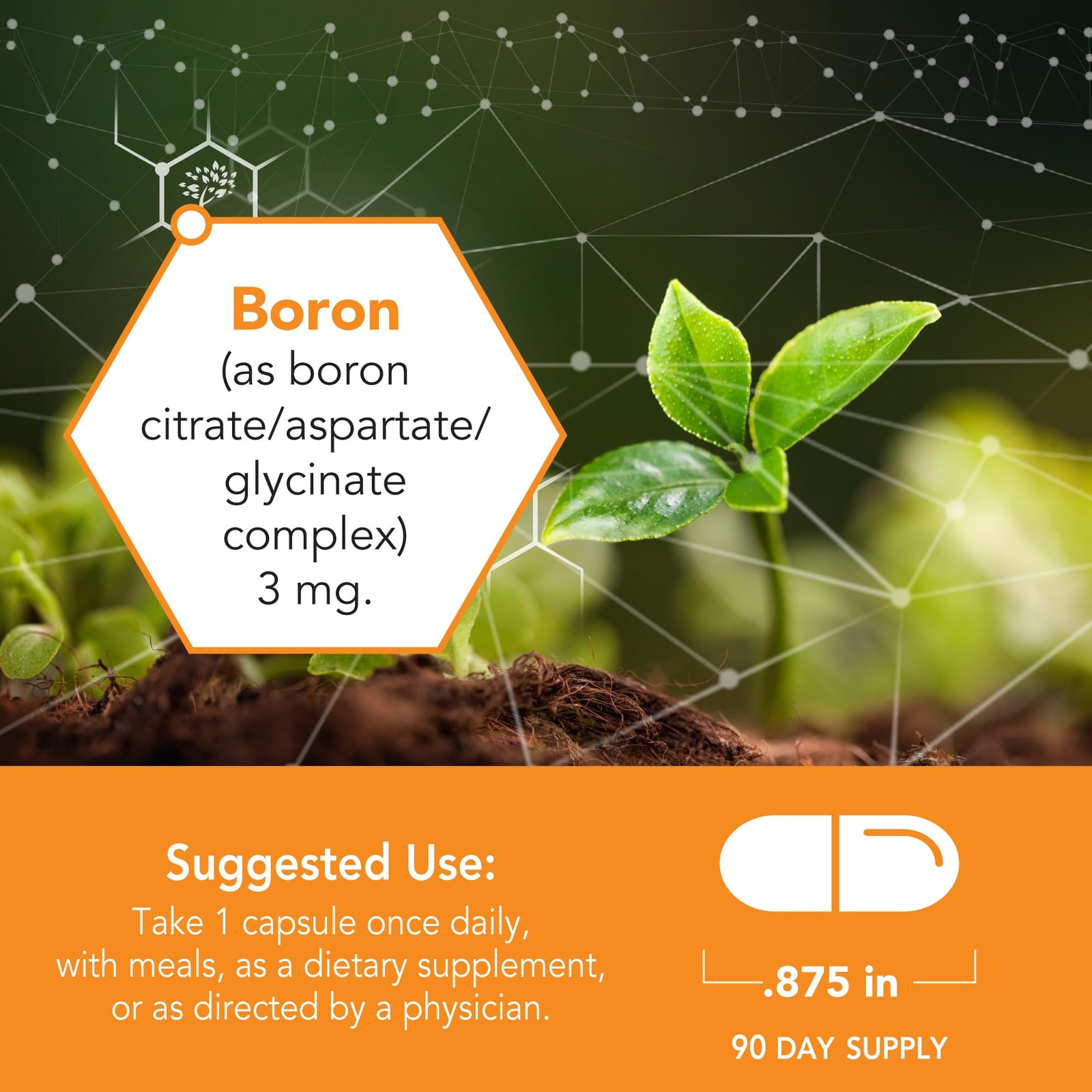 Botanic Choice Super Boron Complex (3mg) – Promotes Bone 90 Count (Pack of 1)