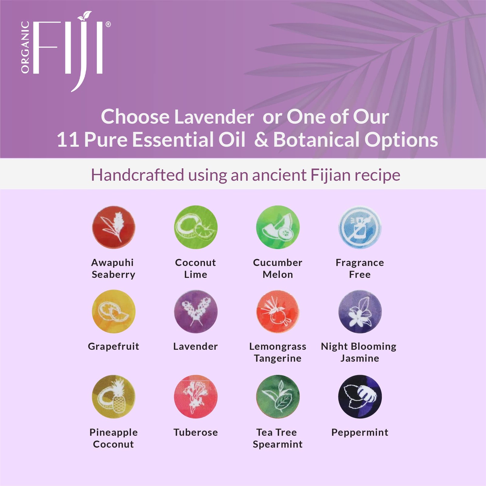 “Coco Fiji Soap Bar for Face and Body Infused 7 Ounce (Pack of 2), Purple