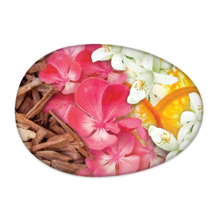 NEW! CARESS (3-BARS) 3.15 Oz. ●DAILY SILK● White Peach & Orange Blossom Bars🫧.