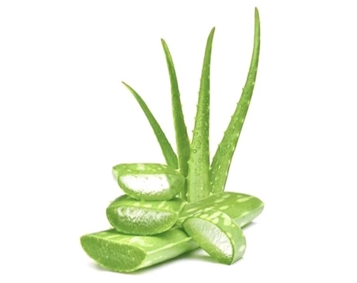 💚 IVORY 💚 (3-BARS) 3.17 Oz 🫧 ●NOTES OF ALOE● 99% Pure Safe Clean & Simple 🫧•
