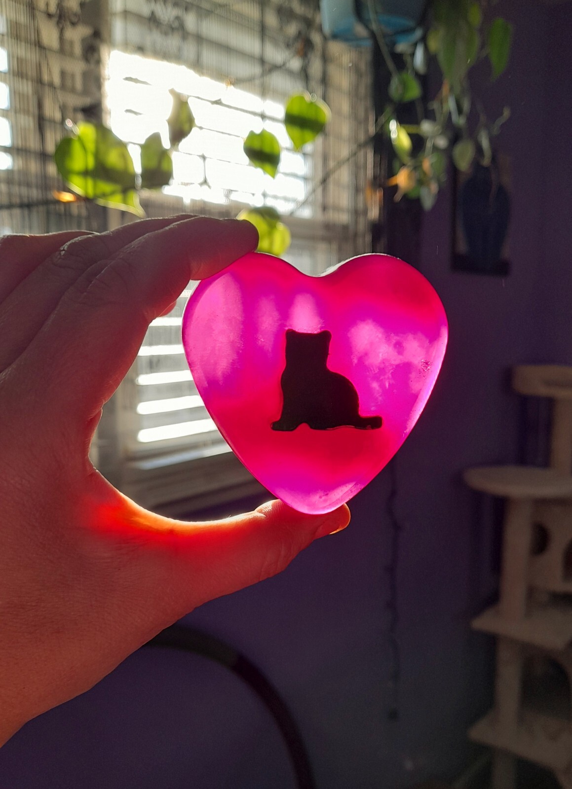 Aloe Glycerin Soap With A Charcoal Kitty All Natural Vegan Cats Kitty Kitten Emo
