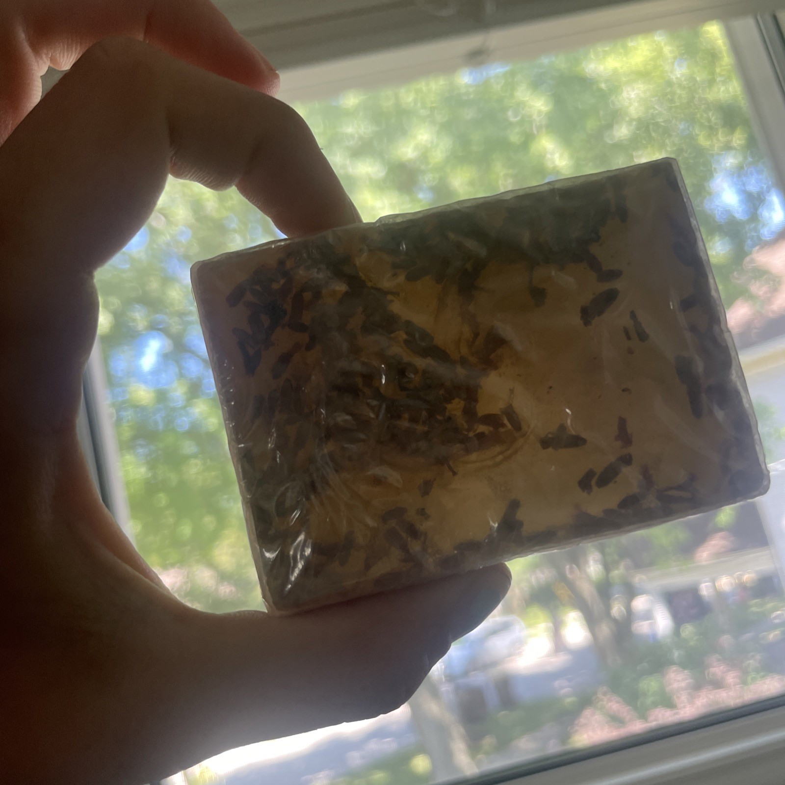 Lavender SOAP BARS NEW made With A Honey Soap Base REAL LAVENDER