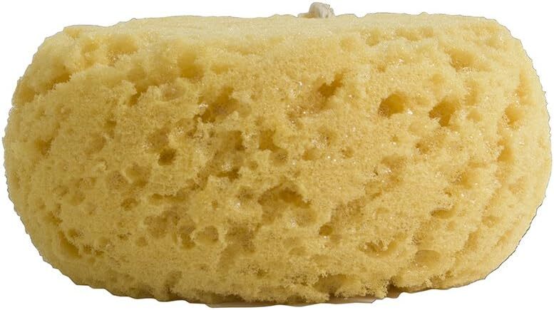 Evriholder Foam Body Sponge for Exfoliating Large 1 Count (Pack of 2), Tan